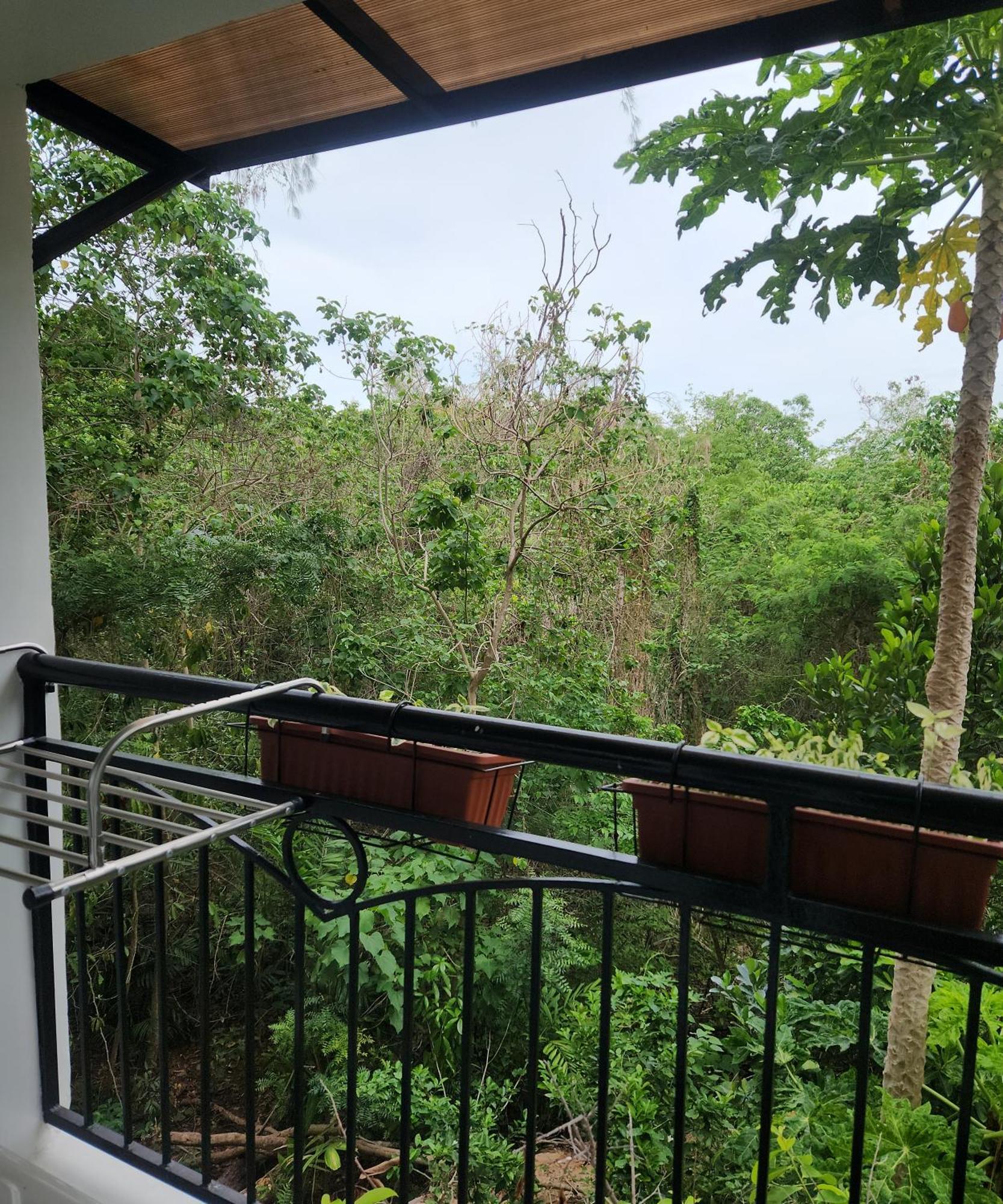 Condo Azur Suites B316 Near Airport, Netflix, Stylish, Cozy With Swimming Pool Lapu-Lapu City Eksteriør billede